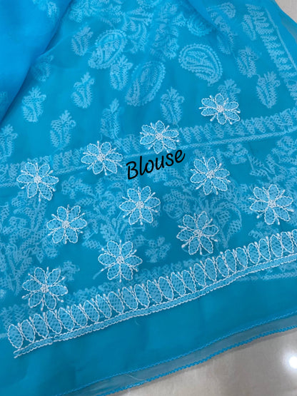 Beautiful Georgette Saree with Designer Lining Work Pallu & Blouse